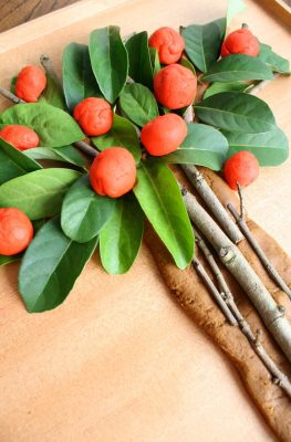 Play Dough Apple Tree Fall Activity for Kids
