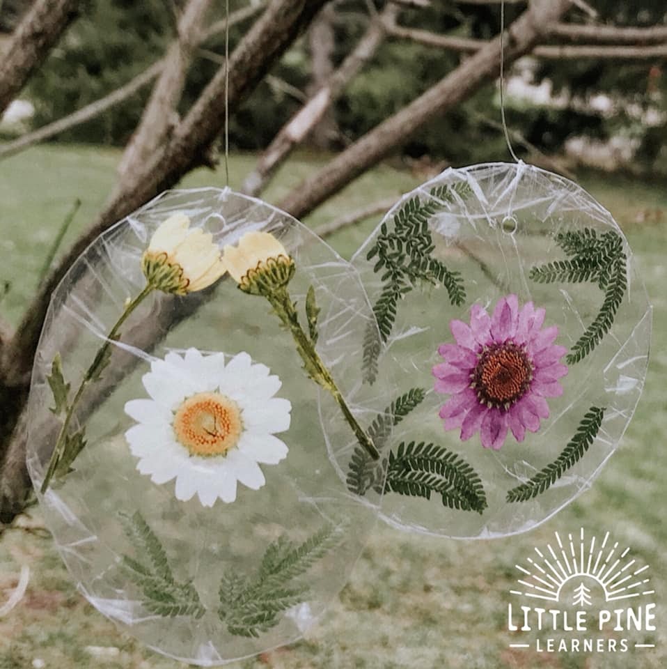 Nature Suncatcher