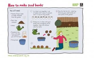 Seed bomb