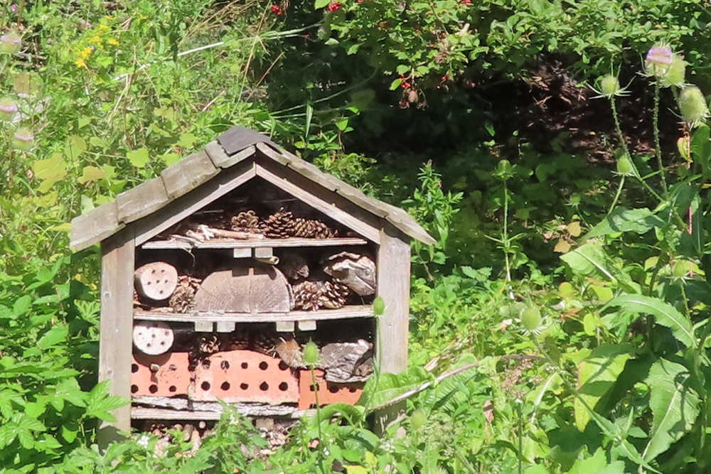 Fun Outdoor Activities For Kids - Bug Hotel