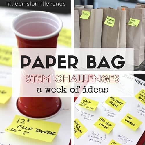 7 Paper Bag STEM Challenge Ideas
