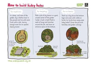 Hidey holes