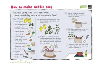 Nettle soup