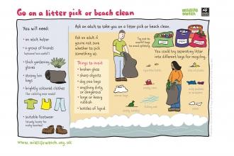 Litter pick