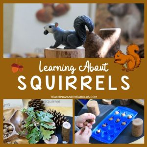 Preschool Squirrel Activities