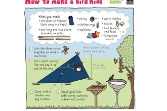 Bird hide