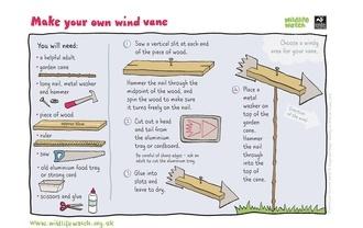 Wind vane