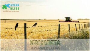 open habitats