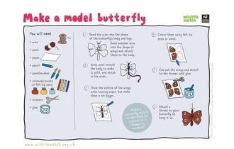 Model butterfly
