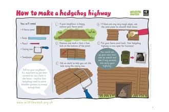 Hedgehog highway