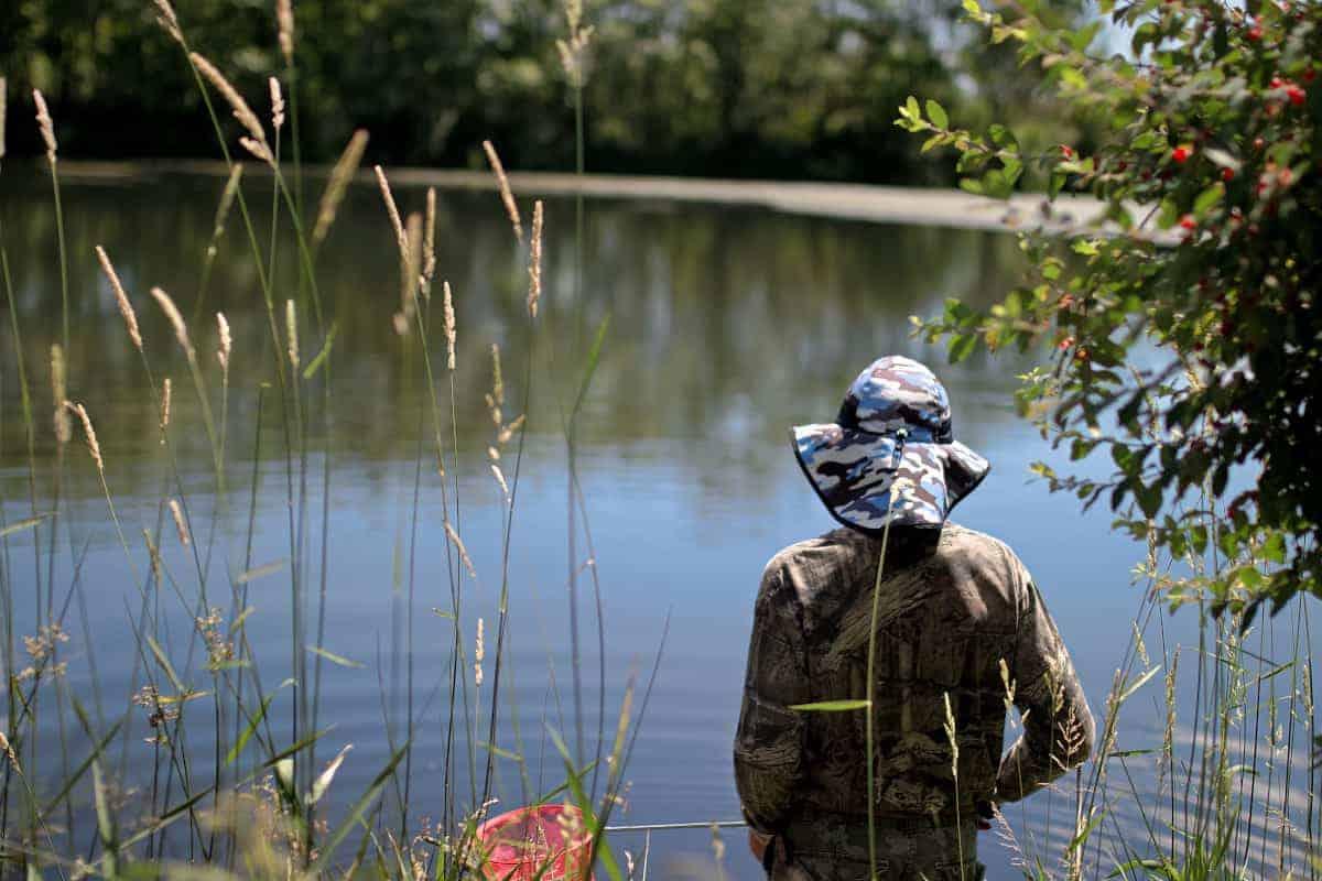 Exploring Ponds with Kids - best ways to study pond life with kids