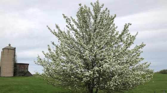 connecting with God through nature