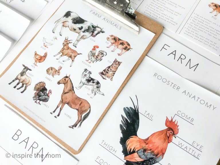 farm animals cover