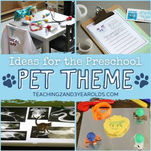 preschool pet theme
