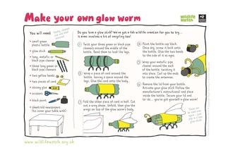 Glow worm