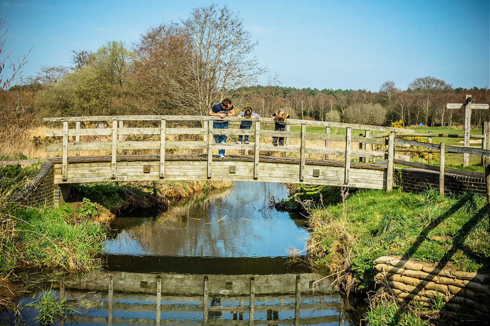 Fun Outdoor Activities For Kids - Pooh sticks