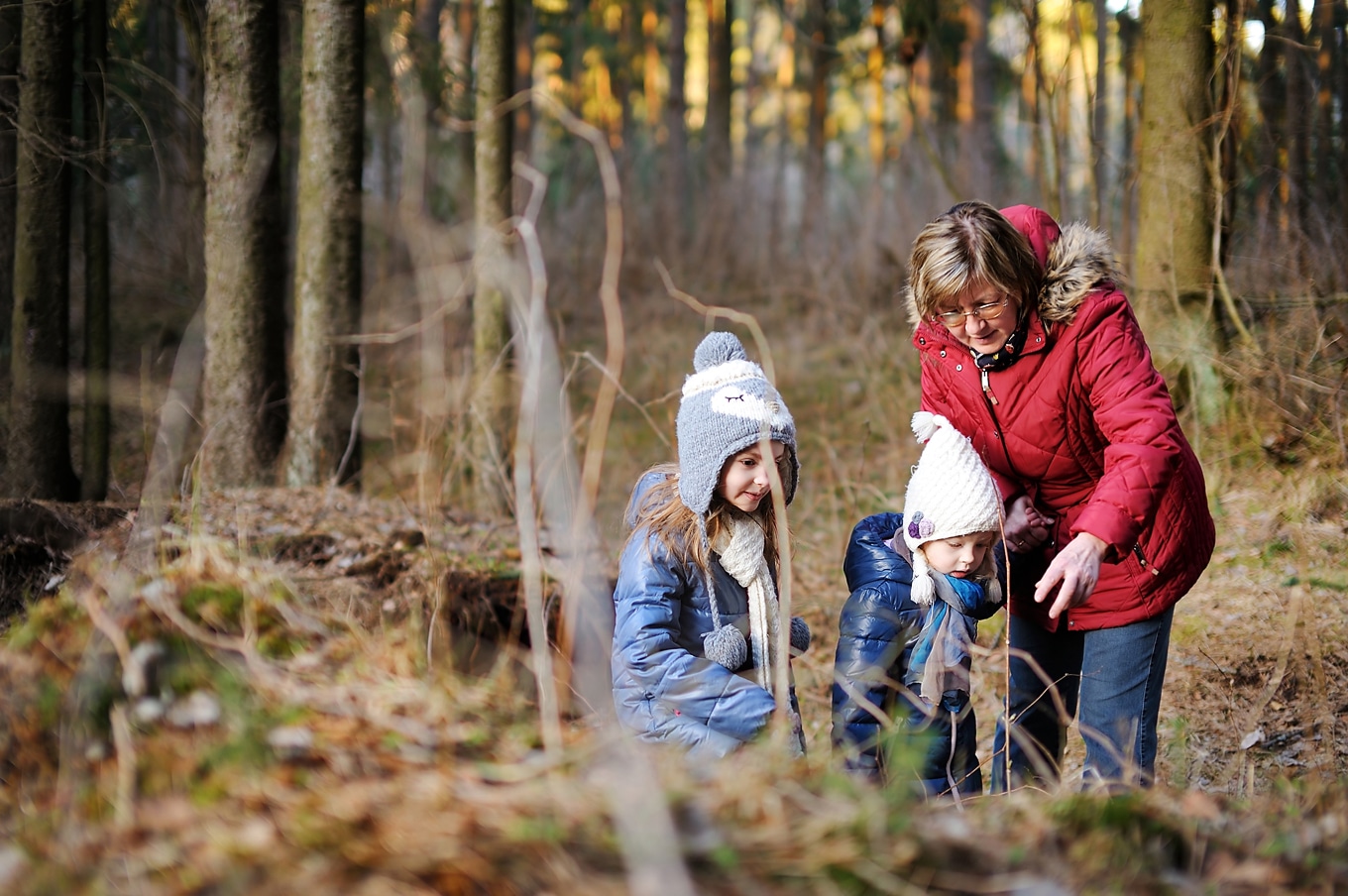 Grandmother Taking Kids on Nature Walk
