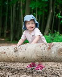 A picture containing tree, outdoor, plant, forest

Description automatically generated