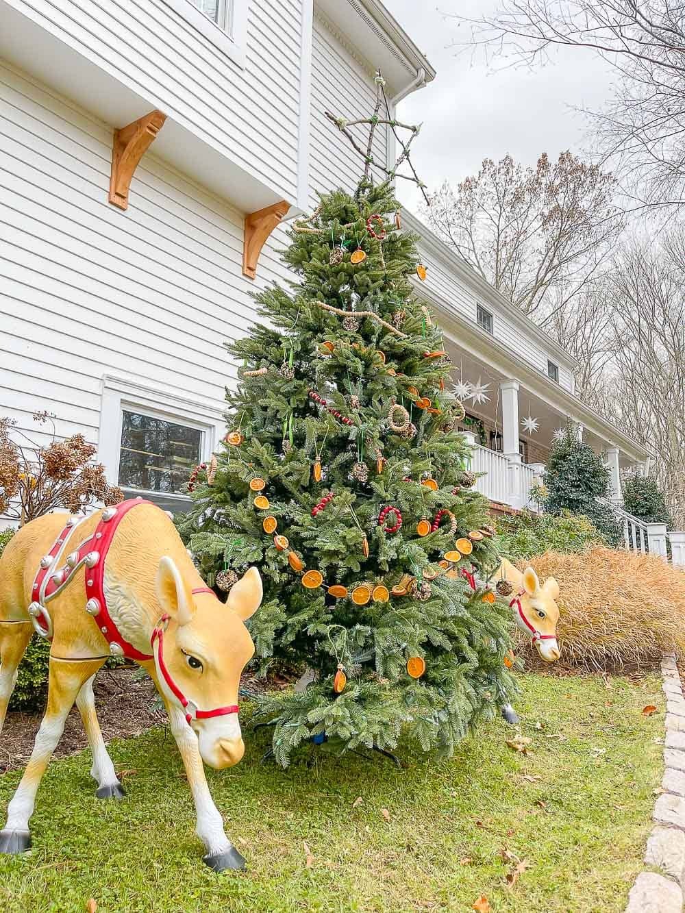 edible ornament bird and animal christmas tree