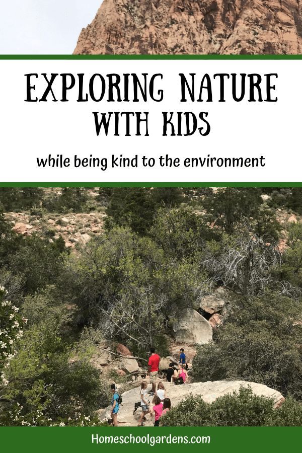 50 Free Or Cheap Adventures Kids Can Have This Summer -FB