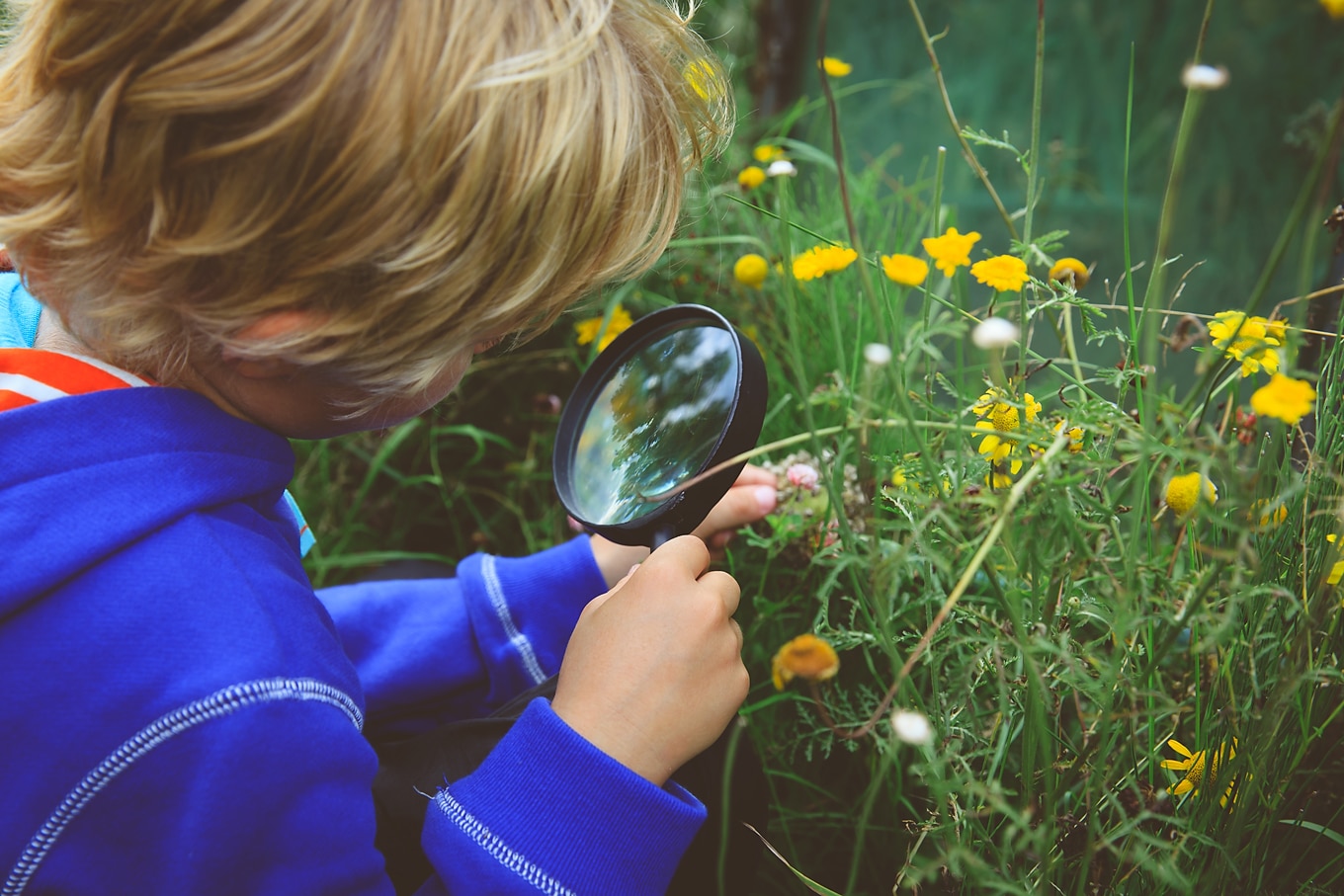 Boy with Magnifying Glass