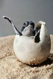 Hello World!