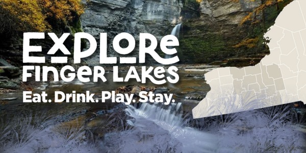 This may contain: four different pictures of animals and birds with captioning that says, what do you see?