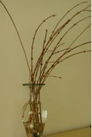 Twigs