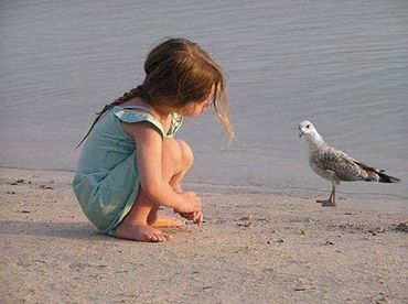 A picture containing person, outdoor, fish, dolphin

Description automatically generated