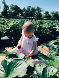 gardening with baby outside