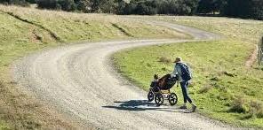 A picture containing grass, outdoor, road, bicycle

Description automatically generated