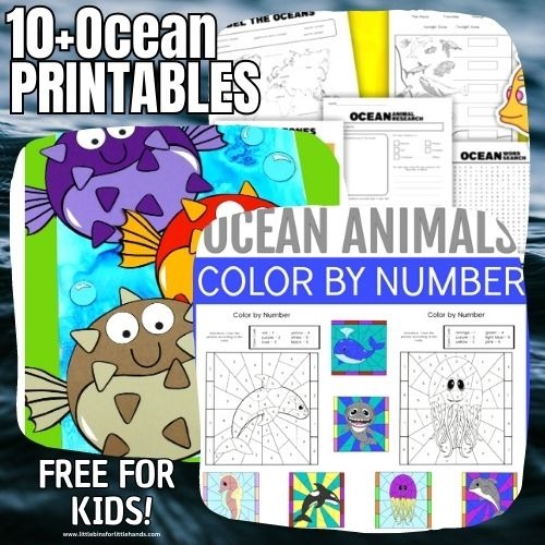 Free Printable Ocean Worksheets